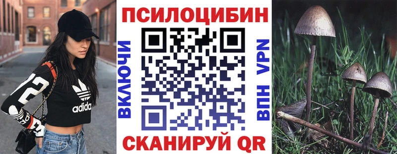 Псилоцибиновые грибы мицелий  где найти наркотики  Артём 